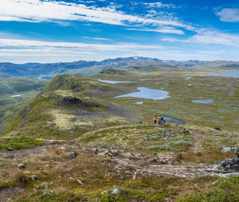 Familietur på Filefjellseggen mellom Skørsnøse og Støgonøse, med vid utsikt 
