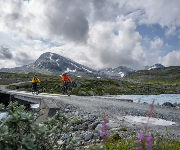 Sykling på Koldedalsvegen ved Jotunheimen
