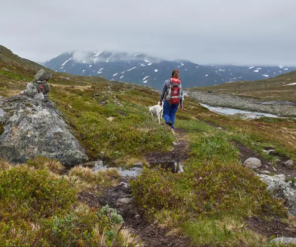Turgåer i Mjølkedalen, på vei til Mjølkedalsbreen