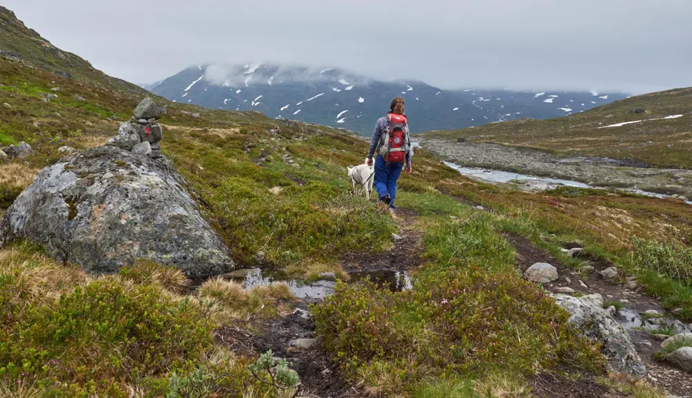 Turgåer i Mjølkedalen, på vei til Mjølkedalsbreen