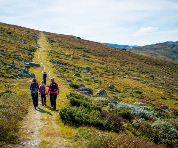 Familie på tur på Kongevegen over Filefjell