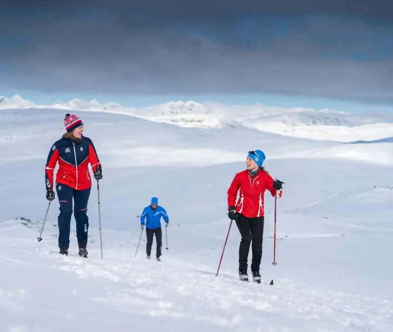 Langrennsløpere i høyfjellsløyper på Tyin Filefjell