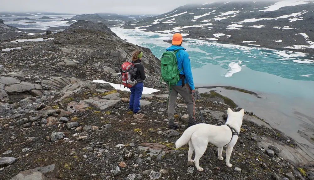 Turgåer i Mjølkedalen, på vei til Mjølkedalsbreen