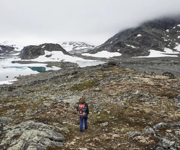 Turgåer i Mjølkedalen, på vei til Mjølkedalsbreen