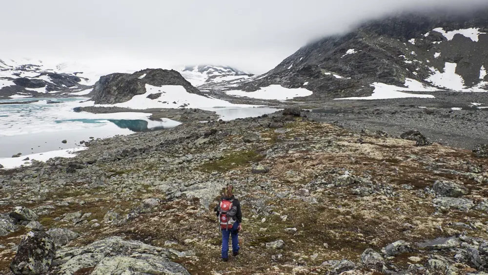Turgåer i Mjølkedalen, på vei til Mjølkedalsbreen