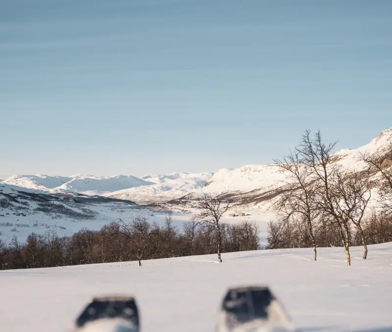 Randonnéetur i fjellterreng ved Tyin Filefjell
