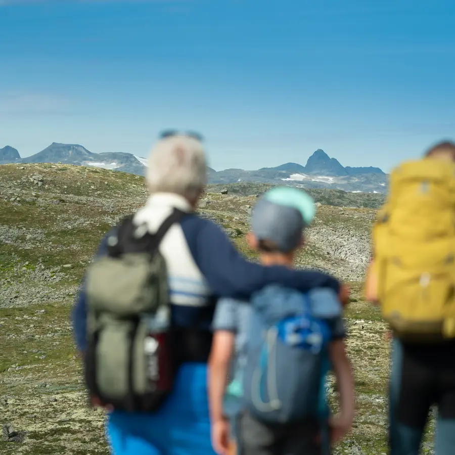 Familietur på Filefjellseggen mellom Skørsnøse og Støgonøse, med utsikt mot Jotunheimens tinder