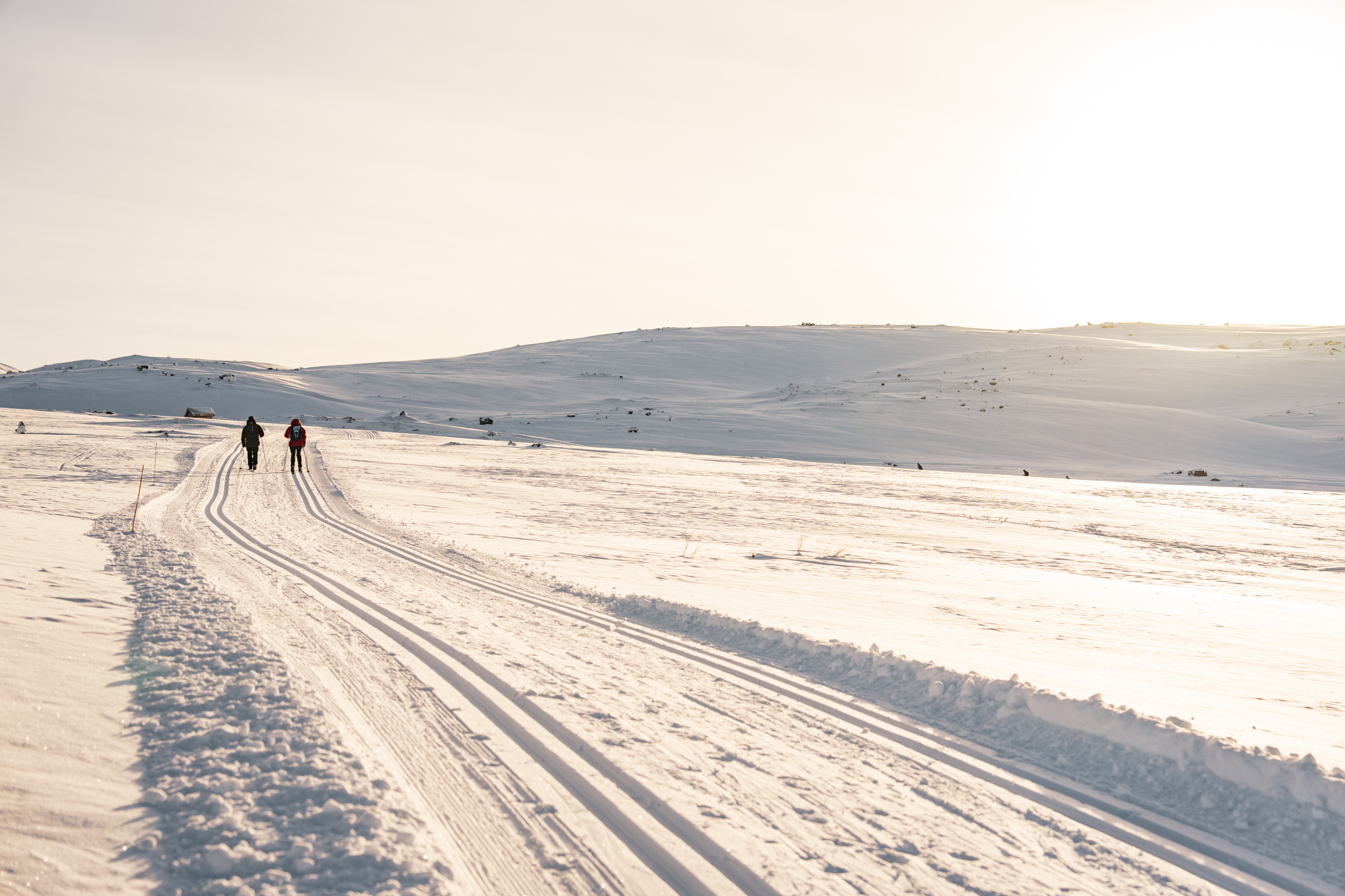 Langrennsløyper på Tyin Filefjell