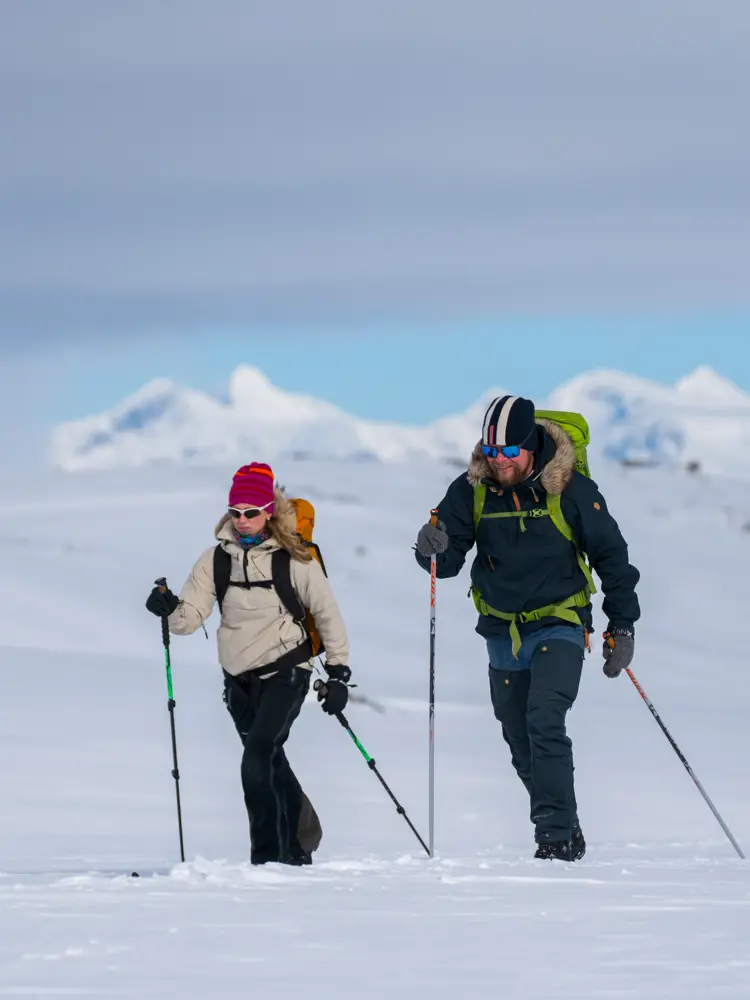 Skigåere på fjellski på Tyin Filefjell