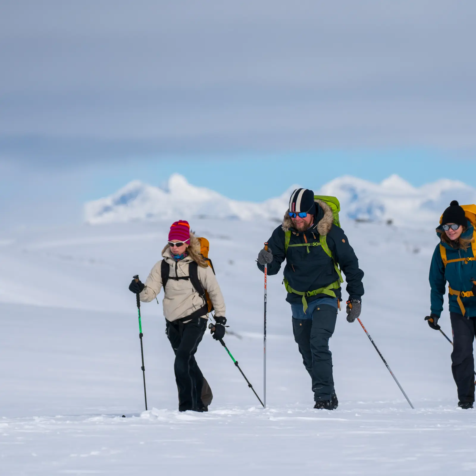 Skigåere på fjellski på Tyin Filefjell