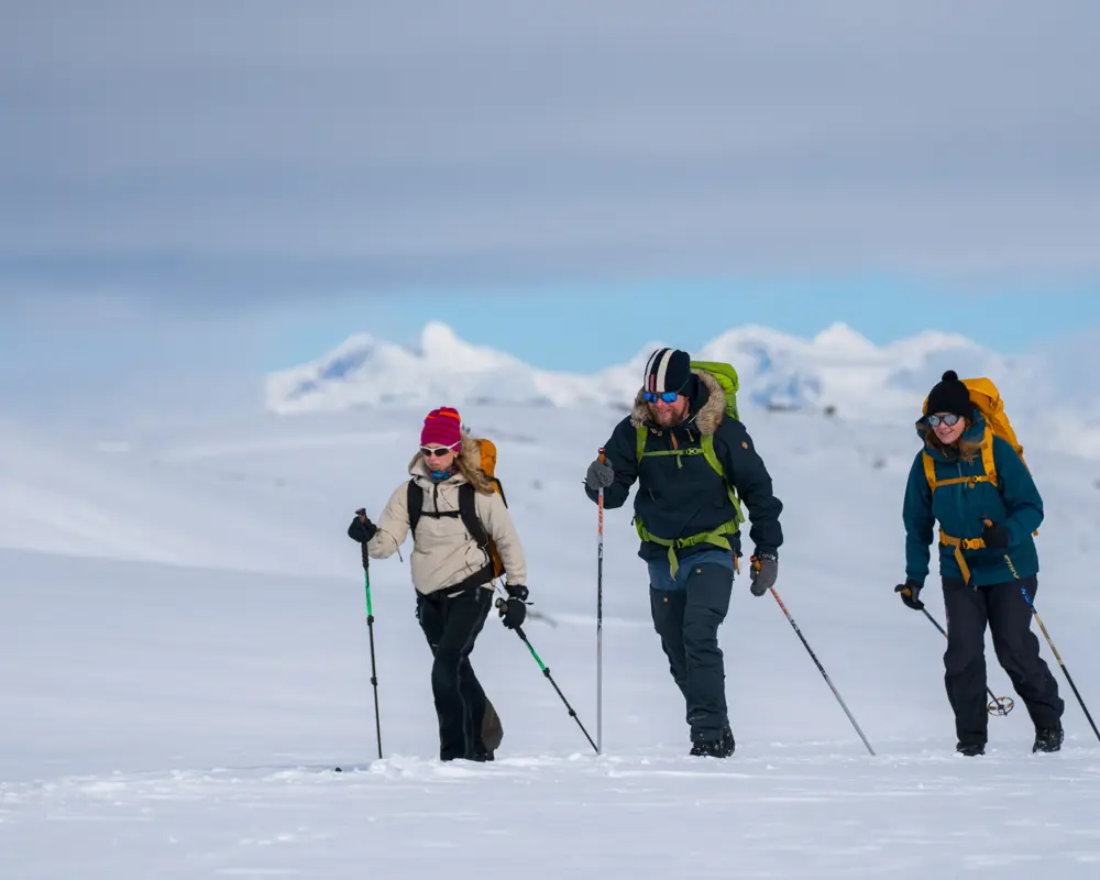 Skigåere på fjellski på Tyin Filefjell