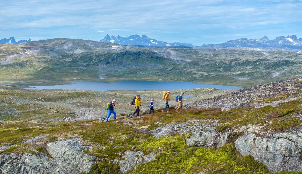 Familietur på Filefjellseggen mellom Skørsnøse og Støgonøse, med utsikt mot Jotunheimens tinder