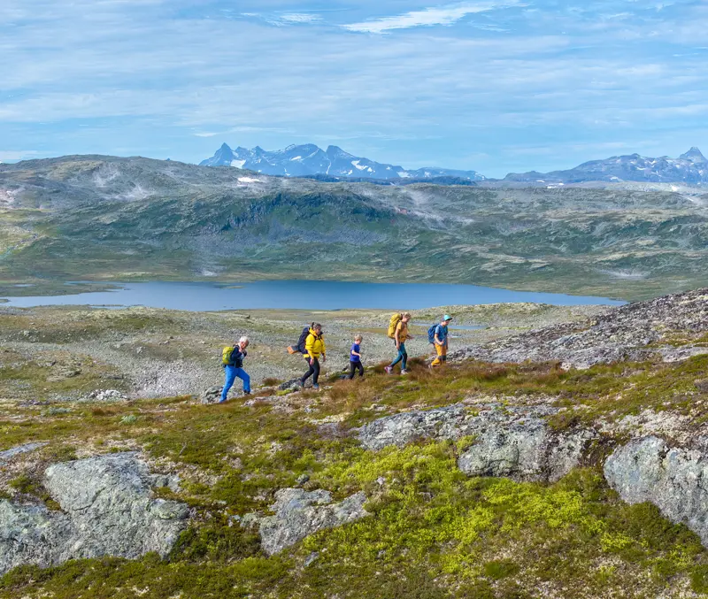 Familietur på Filefjellseggen mellom Skørsnøse og Støgonøse, med utsikt mot Jotunheimens tinder
