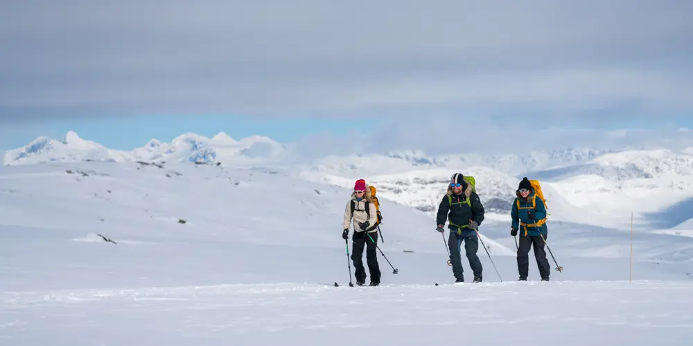Skigåere på fjellski på Tyin Filefjell
